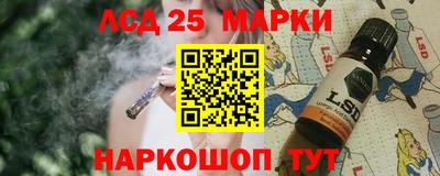 дживик Шелехов