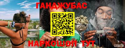 дживик Шелехов