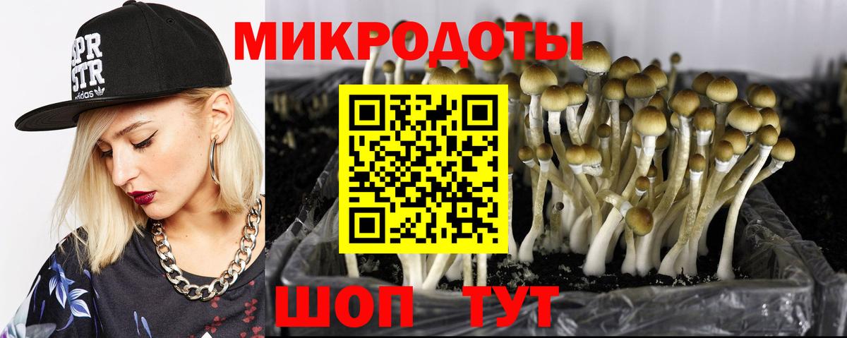 Галлюциногенные грибы MAGIC MUSHROOMS  Вход с VPN  Белая Калитва  хочу   Галлюциногенные грибы ЛСД 