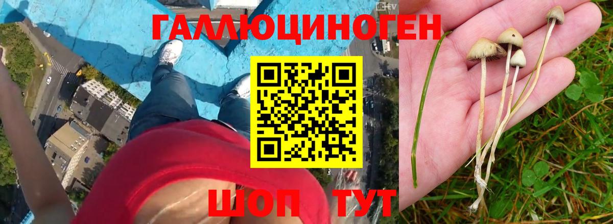 Галлюциногенные грибы мицелий Белая Калитва